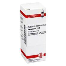 Abbildung: HAMAMELIS D 4 Dilution 20 ml, Dilution PZN 01772414 