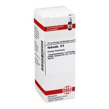 Abbildung: HYDRASTIS D 6 Dilution 20 ml, Dilution PZN 01773224 