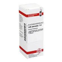 Abbildung: LUFFA OPERCULATA D 4 Dilution 20 ml, Dilution PZN 01777073 