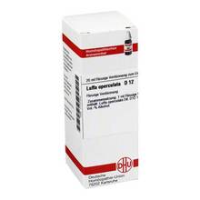 Abbildung: LUFFA OPERCULATA D 12 Dilution 20 ml, Dilution PZN 01777104 