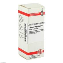 Abbildung: LYCOPUS VIRGINICUS D 2 Dilution 20 ml, Dilution PZN 01777587 