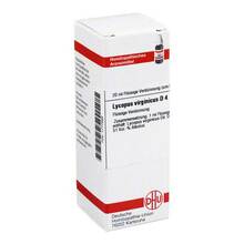 Abbildung: LYCOPUS VIRGINICUS D 4 Dilution 20 ml, Dilution PZN 01777593 