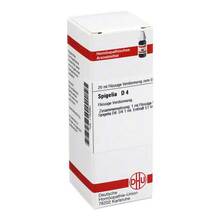 Abbildung: SPIGELIA D 4 Dilution 20 ml, Dilution PZN 01785960 