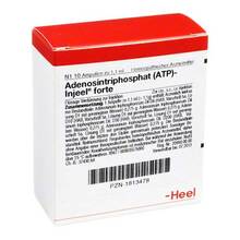 Abbildung: ATP Injeel forte Ampullen 10 St, Ampullen PZN 01813478 