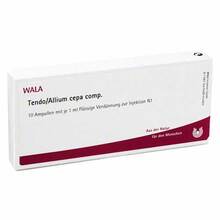 Abbildung: Tendo / Allium cepa comp.Ampullen 10X1 ml, Ampullen PZN 02086974 