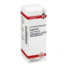 Abbildung: LACHESIS D 6 Dilution 20 ml, Dilution PZN 02102992 