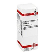 Abbildung: LEDUM D 6 Dilution 20 ml, Dilution PZN 02103224 