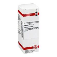 Abbildung: LEPTANDRA D 4 Dilution 20 ml, Dilution PZN 02103247 