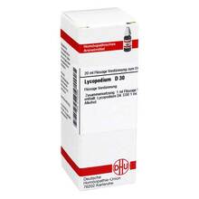 Abbildung: LYCOPODIUM D 30 Dilution 20 ml, Dilution PZN 02103365 