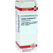 Abbildung: LYCOPUS VIRGINICUS D 1 Dilution 20 ml, Dilution PZN 02103460 