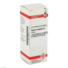 Abbildung: CYNARA SCOLYMUS Urtinktur 20 ml, Dilution PZN 02113582 