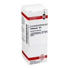 Abbildung: ECHINACEA HAB D 6 Dilution 20 ml, Dilution PZN 02113978 