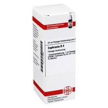 Abbildung: EUPHRASIA D 4 Dilution 20 ml, Dilution PZN 02114386 