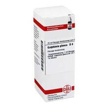 Abbildung: GALPHIMIA GLAUCA D 4 Dilution 20 ml, Dilution PZN 02114653 