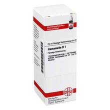 Abbildung: HAMAMELIS D 1 Dilution 20 ml, Dilution PZN 02115121 