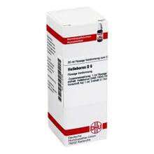 Abbildung: HELLEBORUS D 6 Dilution 20 ml, Dilution PZN 02115486 