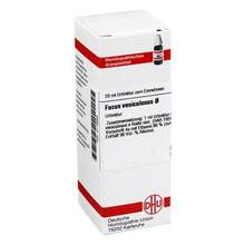 Abbildung: Fucus vesiculosus Urtinktur 20 ml, Dilution PZN 02116959 