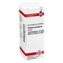 Abbildung: CARDUUS MARIANUS Urtinktur 20 ml, Dilution PZN 02117841 