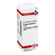 Abbildung: LYCOPUS VIRGINICUS Urtinktur 20 ml, Dilution PZN 02118438 