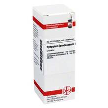 Abbildung: Syzygium jambolanum Urtinktur D 1 20 ml, Dilution PZN 02120116 