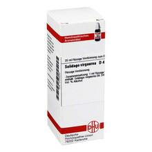 Abbildung: SOLIDAGO VIRGAUREA D 4 Dilution 20 ml, Dilution PZN 02123209 