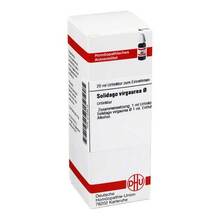 Abbildung: SOLIDAGO VIRGAUREA Urtinktur 20 ml, Dilution PZN 02123215 
