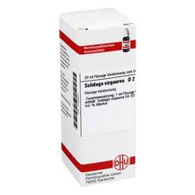 Abbildung: SOLIDAGO VIRGAUREA D 2 Dilution 20 ml, Dilution PZN 02123221 