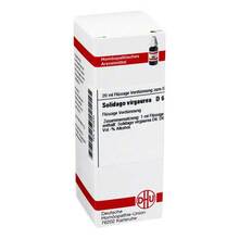 Abbildung: SOLIDAGO VIRGAUREA D 6 Dilution 20 ml, Dilution PZN 02123244 