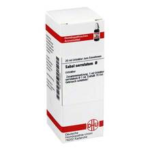 Abbildung: SABAL SERRULATUM Urtinktur 20 ml, Dilution PZN 02123505 