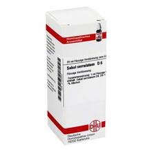 Abbildung: SABAL SERRULATUM D 6 Dilution 20 ml, Dilution PZN 02123540 