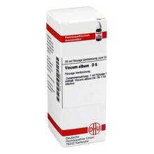 Abbildung: VISCUM ALBUM D 6 Dilution 20 ml, Dilution PZN 02128388 