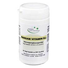 Abbildung: PANGAM Vitamin B15 Kapseln 60 St, Kapseln PZN 02164504 