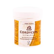Abbildung: Cordyceps Vitalpilz Terra Mundo Kapseln 60 St, Kapseln PZN 02250988 