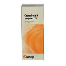 Abbildung: Synergon Komplex 124 Cicuta virosa N Tropfen 50 ml, Tropfen PZN 02386417 