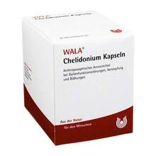 Abbildung: CHELIDONIUM KAPSELN 90 St, Kapseln PZN 02482664 