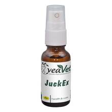 Abbildung: Juck-EX forte vet. (für Tiere) 20 ml PZN 02489726 