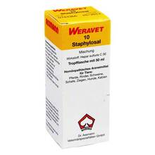 Abbildung: Staphylosal 10 Tropfen vet. (für Tiere) 50 ml, Tropfen PZN 02538608 