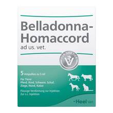 Abbildung: BELLADONNA HOMACCORD ad us.vet.Ampullen 5 St, Ampullen PZN 02551626 