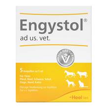 Abbildung: Engystol ad us.vet.Ampullen 5 St, Ampullen PZN 02585051 