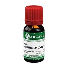 Abbildung: APIS MELLIFICA LM 18 Dilution 10 ml, Dilution PZN 02600655 