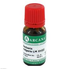 Abbildung: BERBERIS VULGARIS LM 18 Dilution 10 ml, Dilution PZN 02600945 