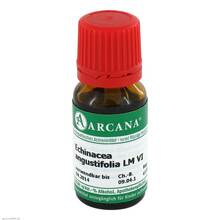 Abbildung: ECHINACEA ANGUSTIFOLIA LM 6 Dilution 10 ml, Dilution PZN 02601904 