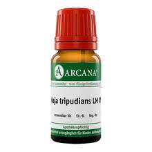 Abbildung: NAJA TRIPUDIANS LM 6 Dilution 10 ml, Dilution PZN 02602973 