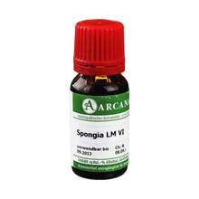 Abbildung: SPONGIA LM 6 Dilution 10 ml, Dilution PZN 02603872 