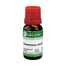 Abbildung: STRAMONIUM LM 12 Dilution 10 ml, Dilution PZN 02604015 