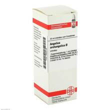Abbildung: Angelica Archangelica Urtinktur D 1 20 ml, Dilution PZN 02606735 