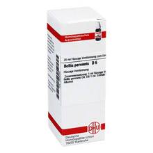 Abbildung: BELLIS PERENNIS D 6 Dilution 20 ml, Dilution PZN 02608438 