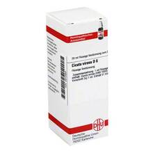Abbildung: CICUTA VIROSA D 6 Dilution 20 ml, Dilution PZN 02610955 