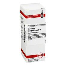 Abbildung: CODEINUM PHOSPHORICUM D 4 Dilution 20 ml, Dilution PZN 02611498 