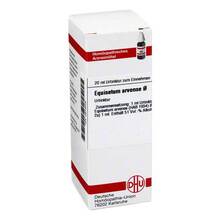 Abbildung: EQUISETUM ARVENSE Urtinktur 20 ml, Dilution PZN 02613209 